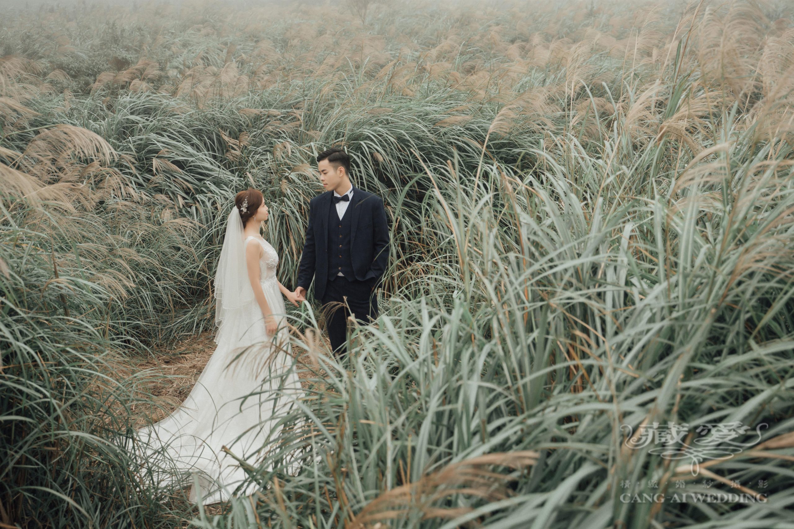 臺北的後花園 ー 陽明山 X 絕美婚照景點精選集