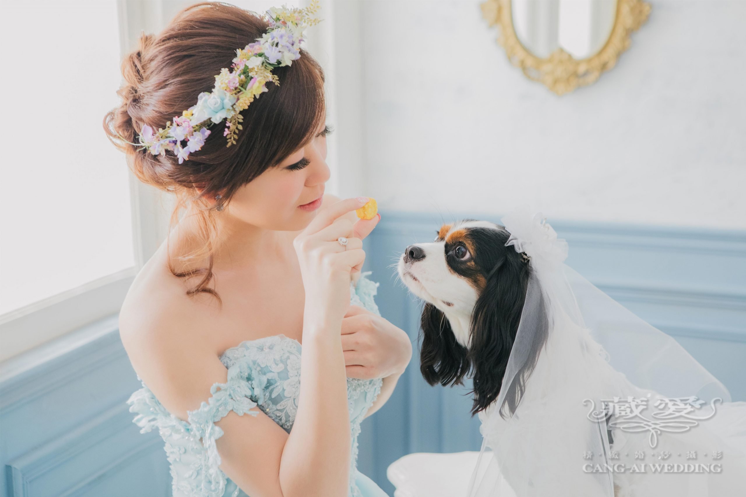 毛孩們，一起幸福吧！寵物婚紗照服飾推薦~