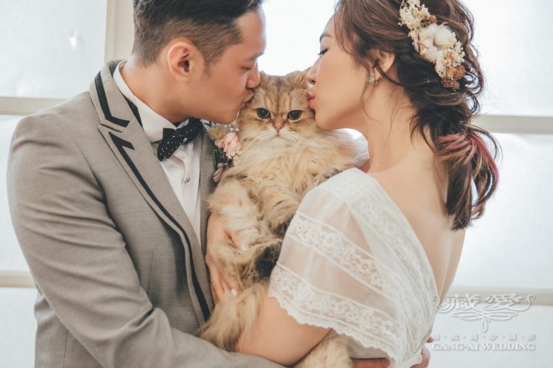 寵物婚紗拍攝 與寵物一起拍婚紗 全家福攝影新趨勢 