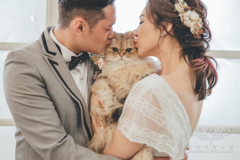 毛孩們，一起幸福吧！寵物婚紗照服飾推薦~