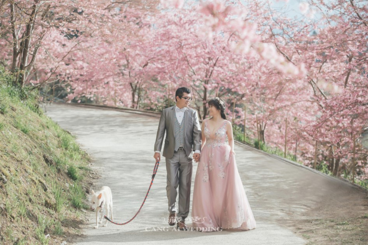 初春的粉紅花嫁 X 浪漫櫻花婚紗照